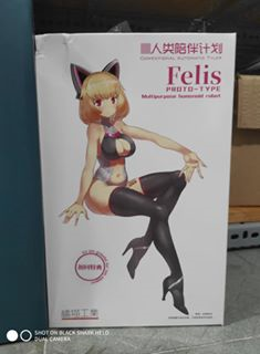 Mua bán MODEL KIT PROTOTYPE FELIS
