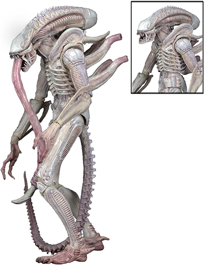 Mua bán NECA XENOMORPH ALBIND DRONE CHINA VER