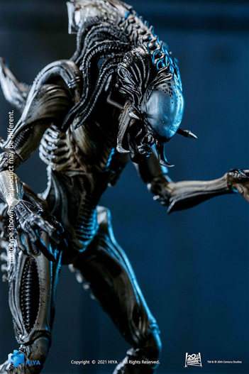 Mua bán HIYA TOYS 1/18 ALIEN VS PREDATOR PREDALIEN