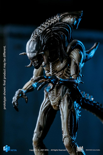 Mua bán HIYA TOYS 1/18 ALIEN VS PREDATOR PREDALIEN