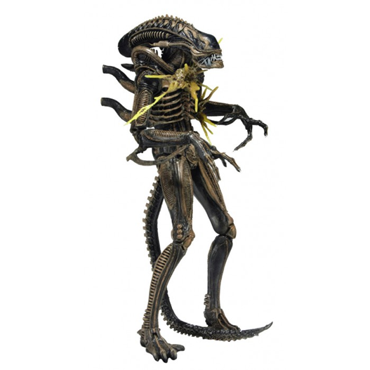 Mua bán NECA XENOMORPH WARRIOR BATTLE DAMAGED CHINA VER