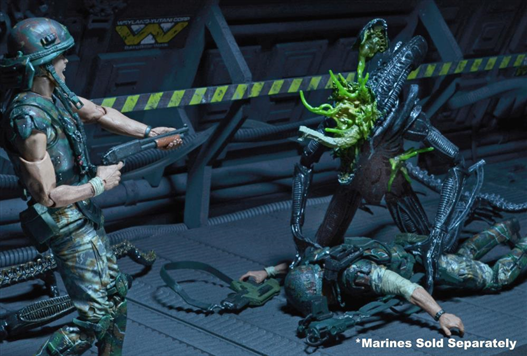 Mua bán NECA XENOMORPH WARRIOR BLUE BATTLE DAMAGED CHINA VER