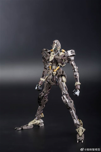 Mua bán HIRM HI RESOLUTION BARBATOS LUPUS SPIDER CRAB