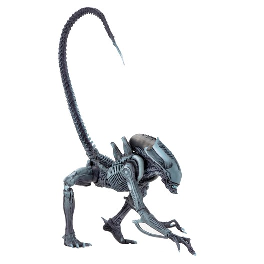 Mua bán NECA ARACHNOID ALIEN CHINA VER 