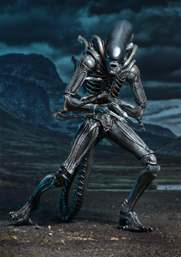 Mua bán NECA XENOMORPH WARRIOR & CARTER J BURKE