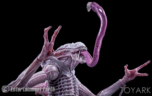 Mua bán NECA XENOMORPH ALBIND DRONE CHINA VER