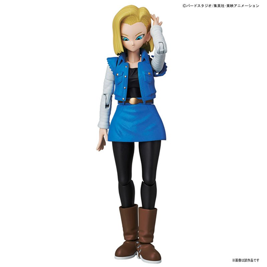 Mua bán MODEL KIT ANDROID #18