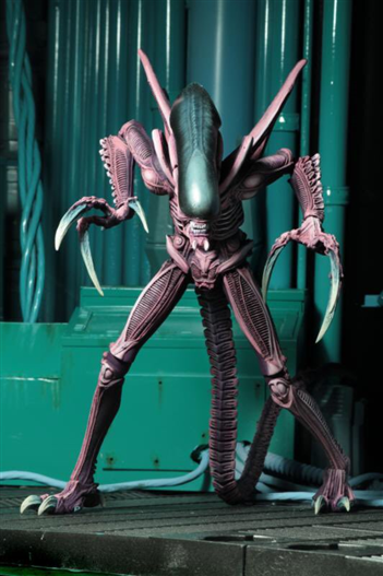 Mua bán NECA RAZOR CLAWS ALIEN
