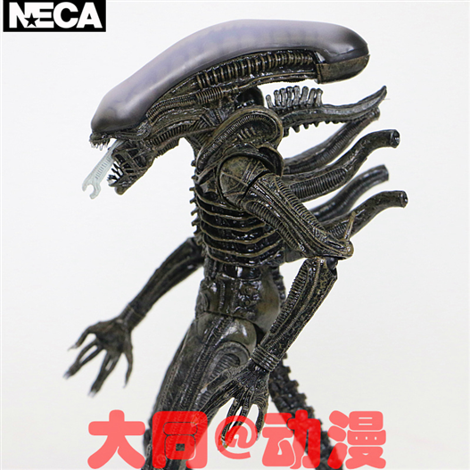 Mua bán NECA ALIEN XENOMORPH BOX GREEN CHINA VER