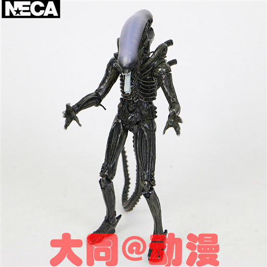 Mua bán NECA ALIEN XENOMORPH BOX GREEN CHINA VER