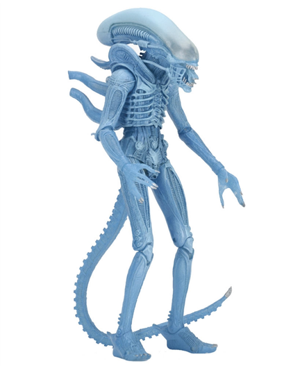 Mua bán NECA ALIEN WARRIOR BLUE CHINA VER