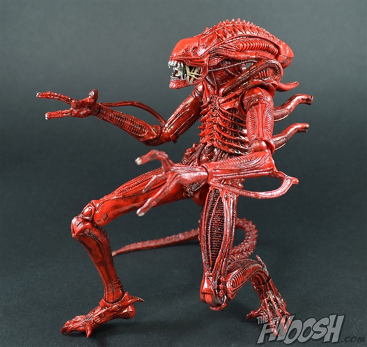 Mua bán NECA ALIEN XENOMORPH WARRIOR RED VER CHINA VER