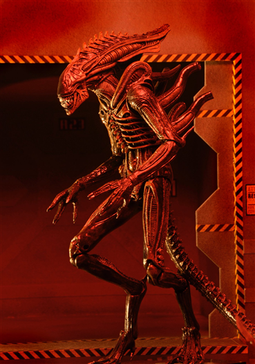 Mua bán NECA ALIEN DEFIANCE XENOMORPH CHINA VER