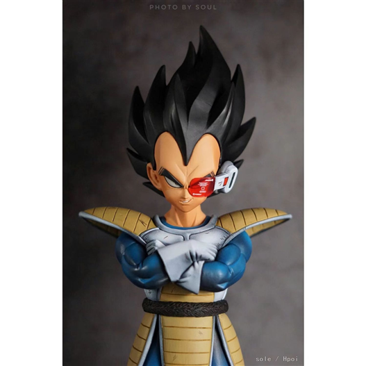 Mua bán PVC VEGETA FAKE