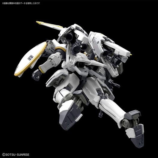 Mua bán RG TALLGEESE EW