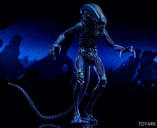 Mua bán NECA ALIEN WARRIOR CLUB EXCLUSIVE 2019 VER
