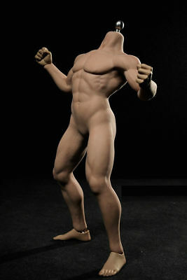 Mua bán TBL SEAMLESS BODY