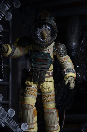 Mua bán NECA KANE (ALIEN) CHINA VER.