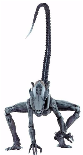 Mua bán NECA ARACHNOID ALIEN US VER