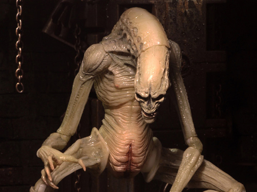 Mua bán NECA ALIEN RESURRECTION CHINA VER 