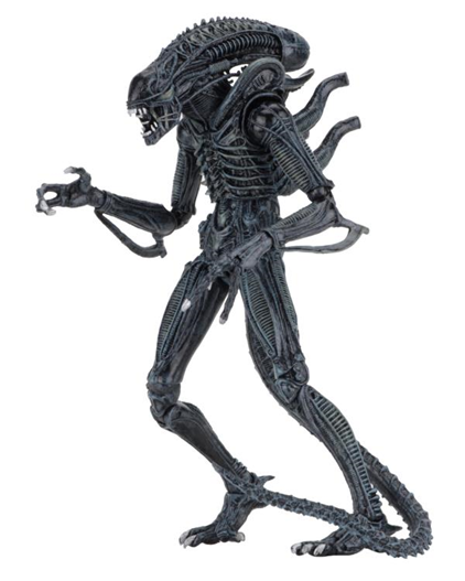 Mua bán NECA ALIEN ULTIMATE EDITION