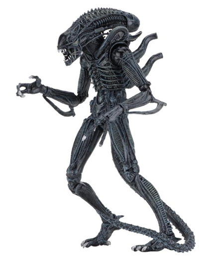 Mua bán NECA XENOMORPH WARRIOR CHINA VER