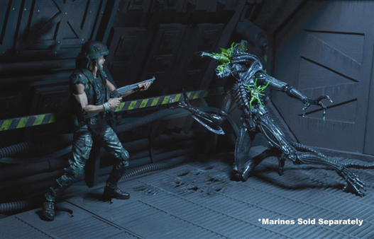 Mua bán NECA XENOMORPH WARRIOR BLUE BATTLE DAMAGED CHINA VER