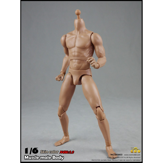 Mua bán BODY 1/6 BD003