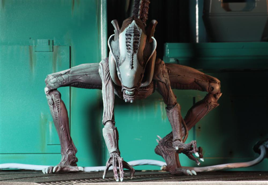 Mua bán NECA ALIEN VS. PREDATOR ARCADE APPEARANCE ARACHNOID FIGURE