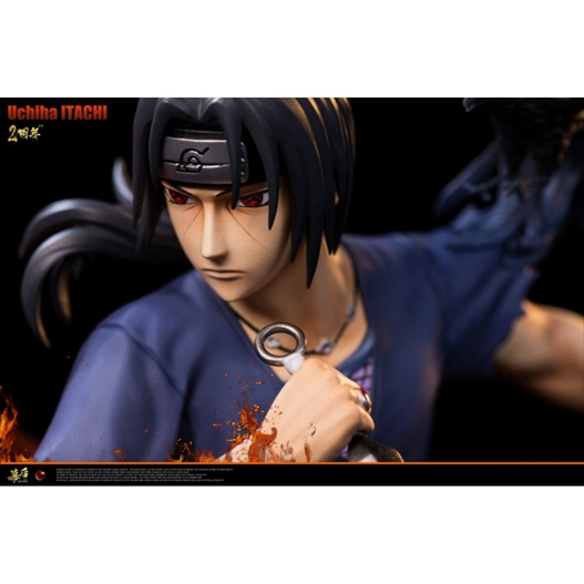 Mua bán COPY RESIN ITACHI