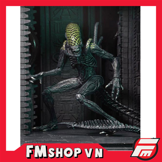 Mua bán NECA ALIEN GRID AVP